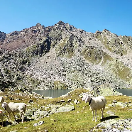 Alpin-7 By Interhome Daire Sölden