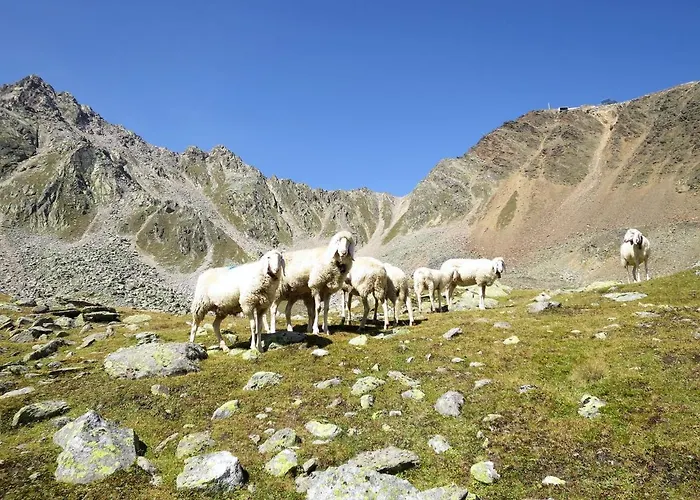 Alpin-7 By Interhome